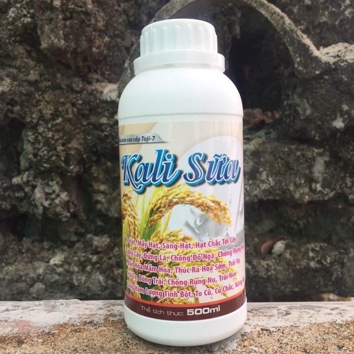 Kali Sữa – siêu to trái, ngọt trái, bóng trái 500ml