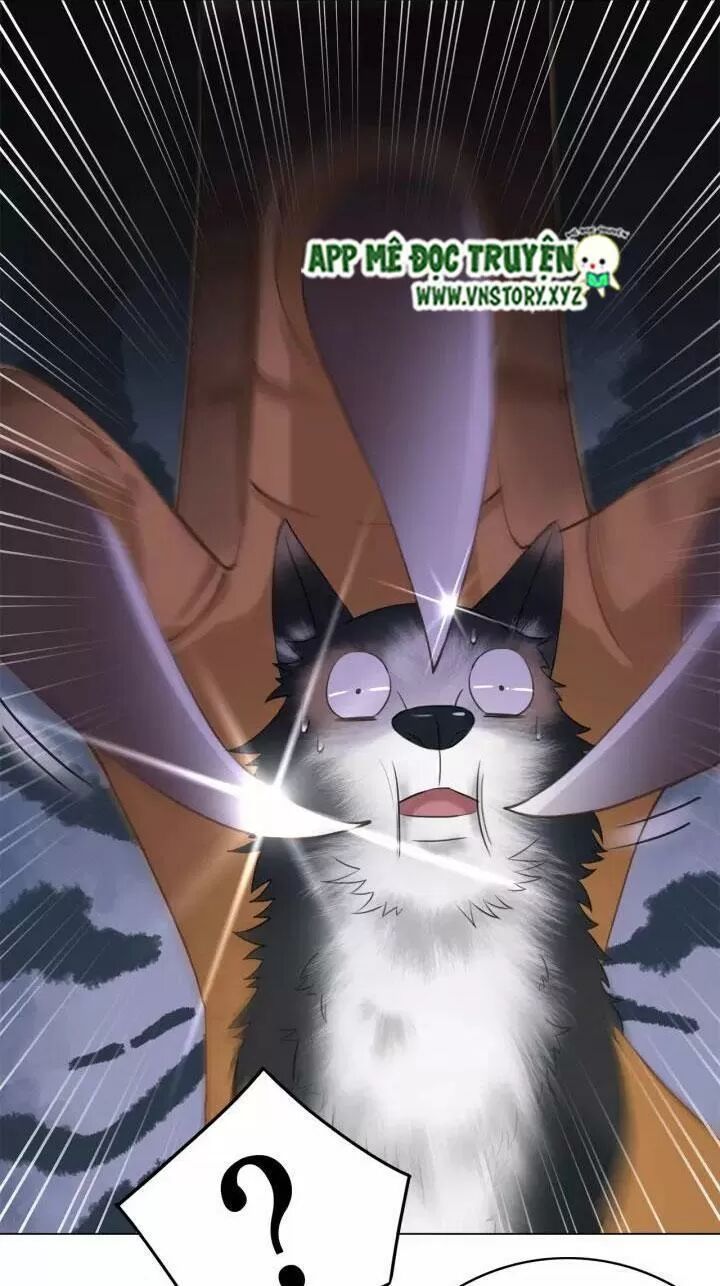 cực phẩm phế vật tiểu thư chapter 108 20