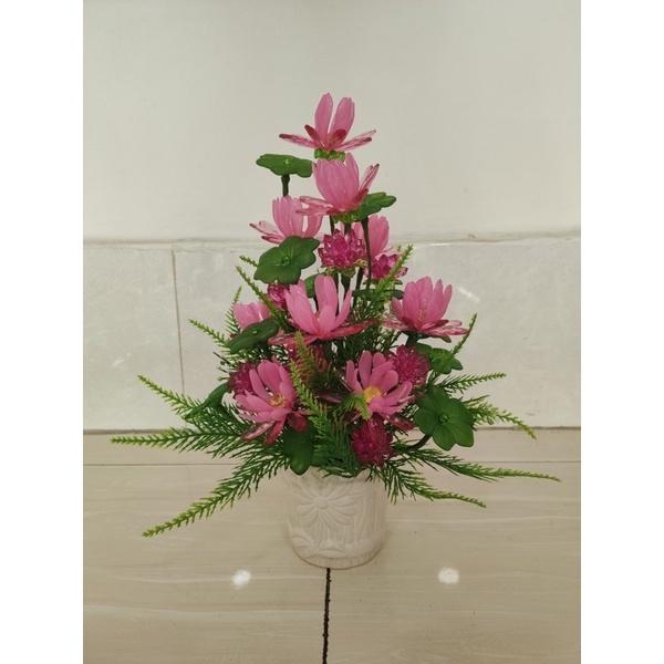 Chậu hoa cao 30m ngang 23cm
