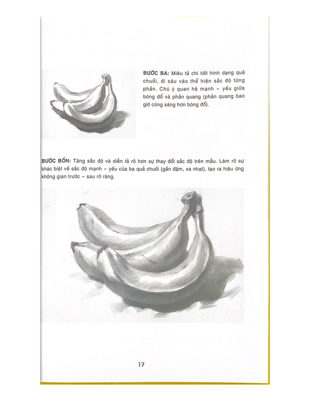 Bí Quyết Hội Hoa - Phác Họa Tĩnh Vật - Vanlangbooks