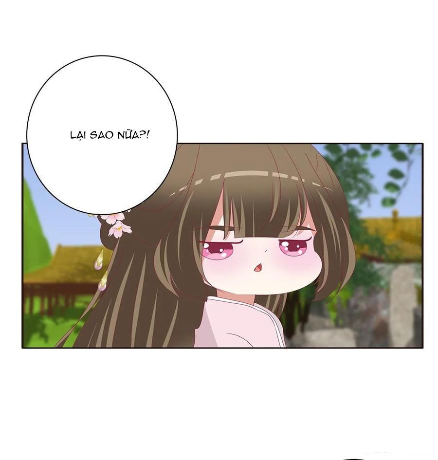 thông linh phi chapter 614 19