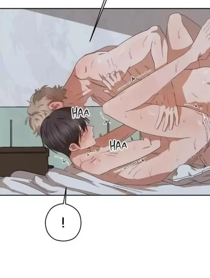 liveta chapter 32 33