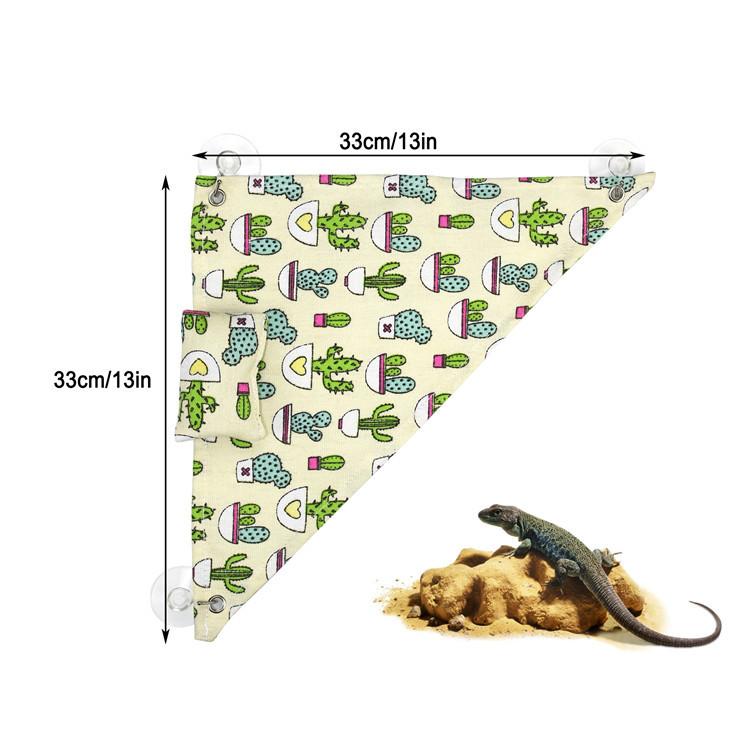 Geckos Lizards Reptile Võng