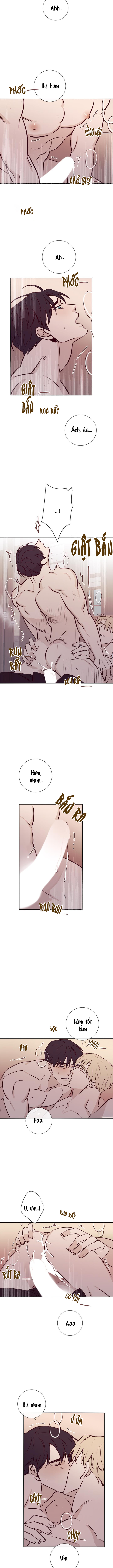 độc dược (marcel) chapter 17 3