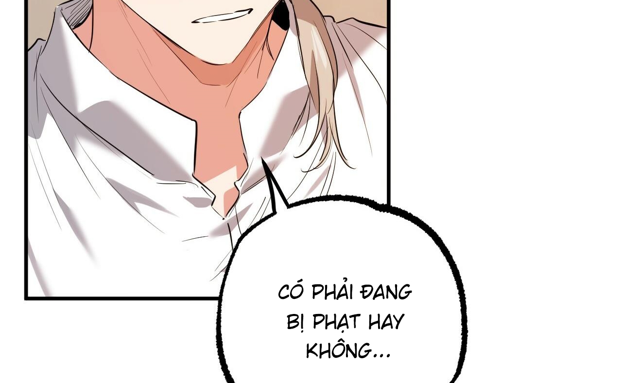 những chú thỏ của hapypy chapter 52 146