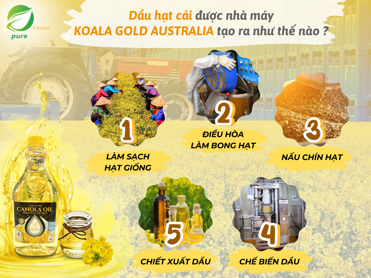 Dầu hạt cải Canola