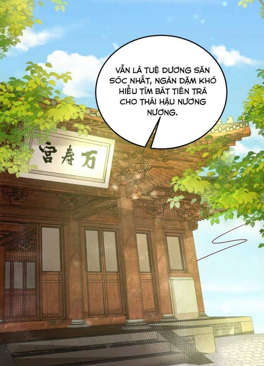 đại đích nữ trọng sinh về báo thù chapter 32 38