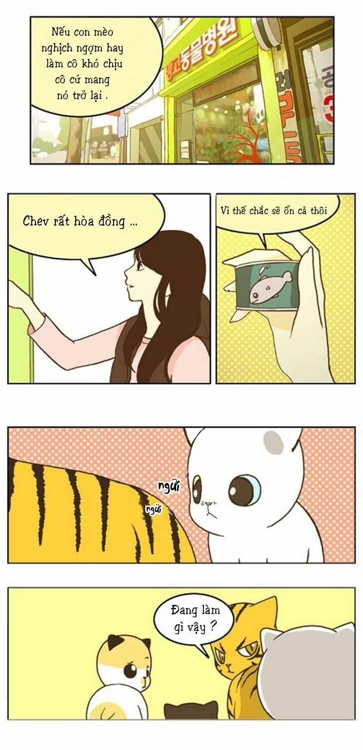 papi nyang chapter 16 11