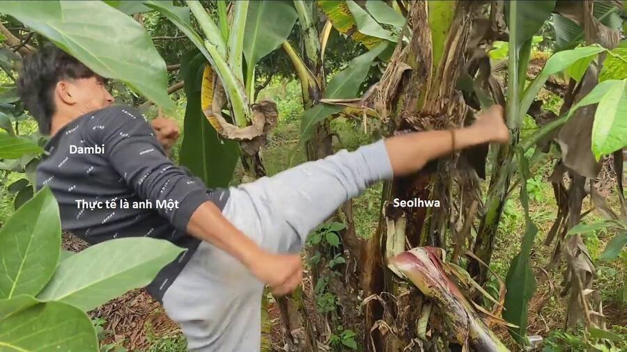 sự lụi tàn của usuzumi chapter 104 31