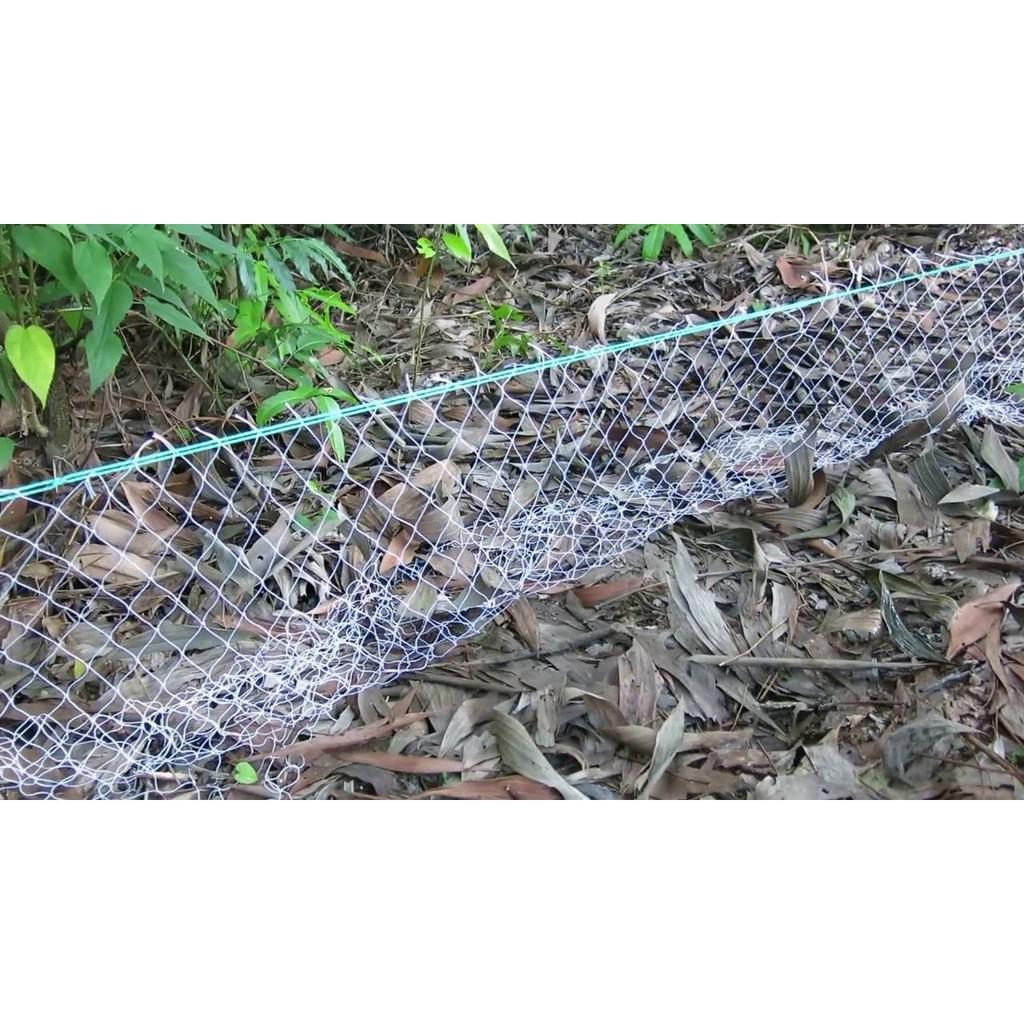 Lưới bẫy rắn Thái Lan ( Từ 20m đến 100m ) ( rẻ vô địch ) docaucagiangnam