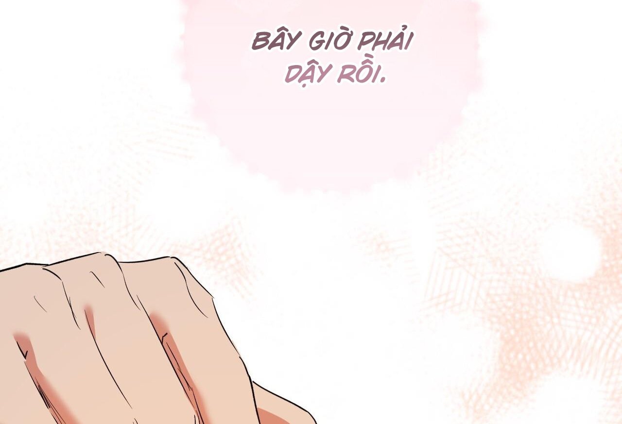 những chú thỏ của hapypy chapter 65 11