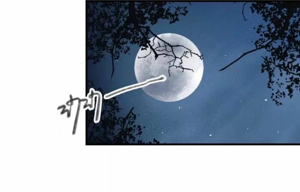 sủng phi của vương chapter 61 13