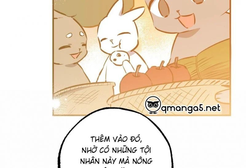 những chú thỏ của hapypy chapter 64 87