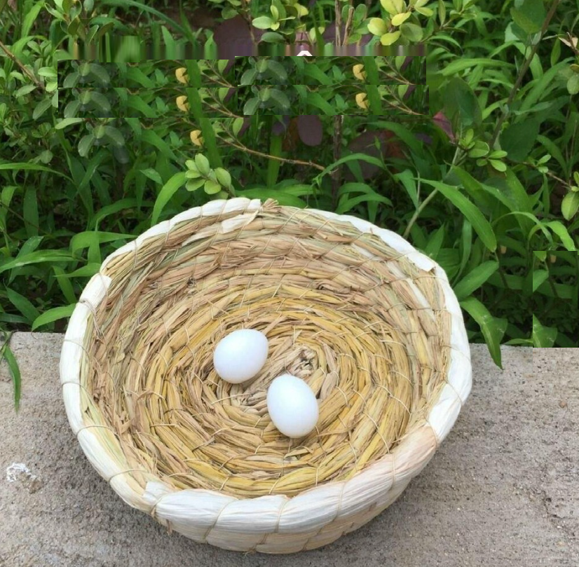 1 tổ đẻ đan rơm dùng cho cu gáy, bồ câu (rất rộng rãi và thoải mái)
