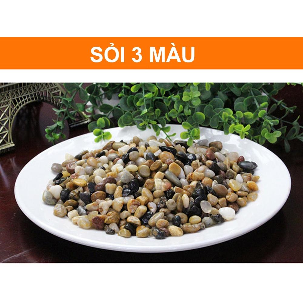 Sỏi suối 3 màu trang trí bể cá, hồ thủy sinh, tiểu cảnh, cây cảnh, chậu sen đá, xương rồng, hòn non bộ, lọc nước hồ cá