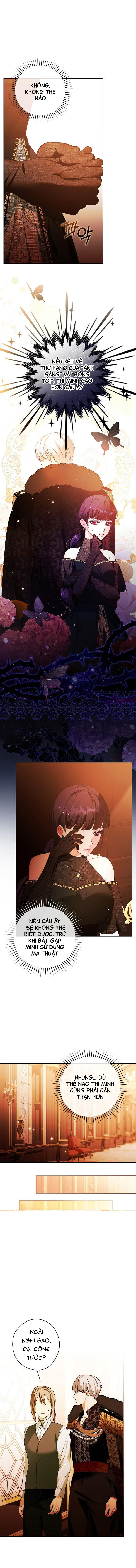 nàng tiểu thư nhà công tước chapter 8 7