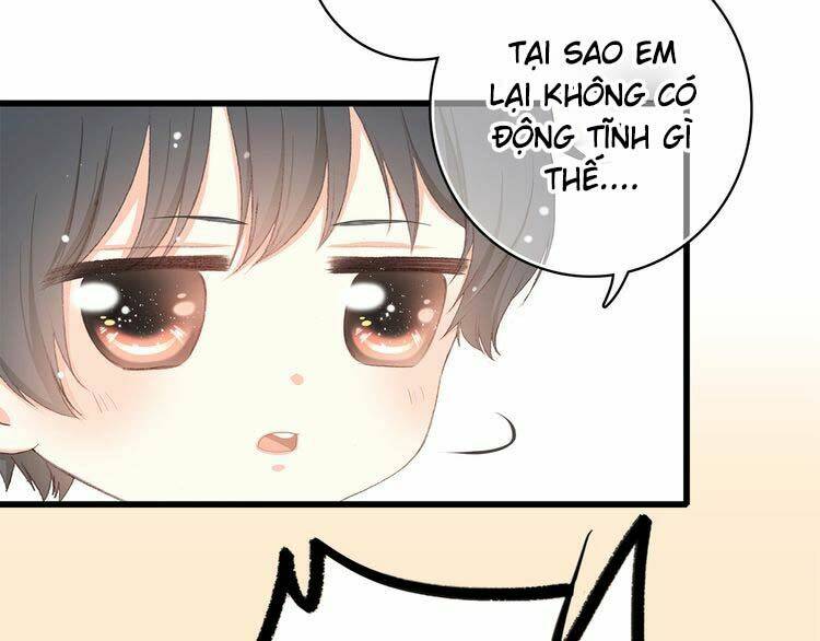 con tim rung động 3 chapter 12 64