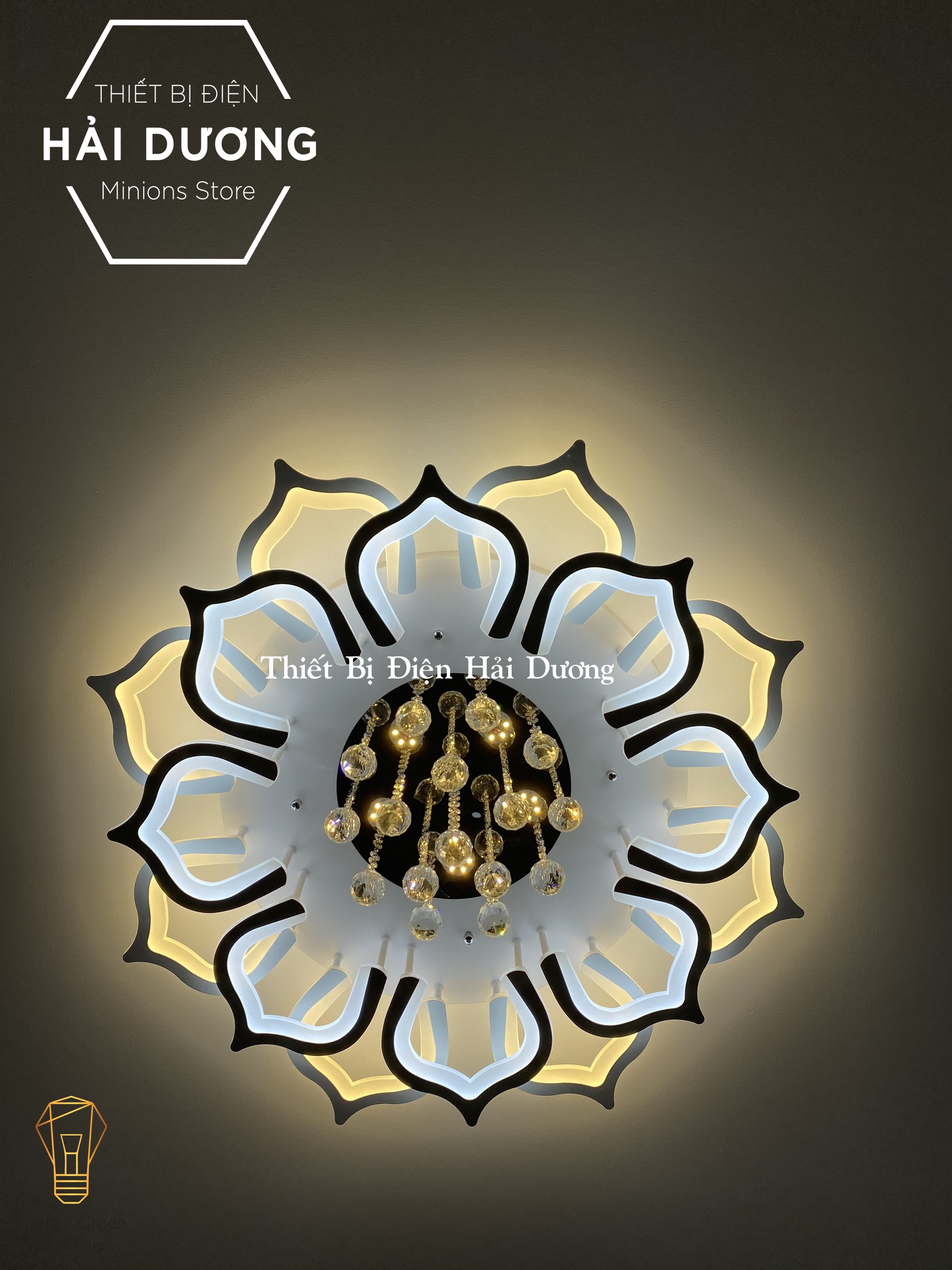 Đèn LED ốp trần hình hoa sen pha lê lấp lánh 16 cánh NT-033 - 3 Chế độ ánh sáng - Có điều khiển từ xa - Có Video