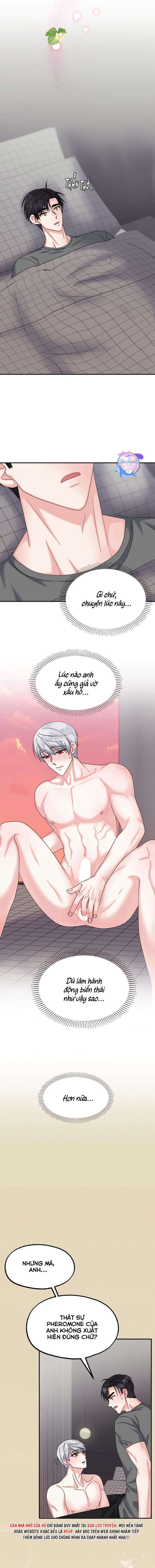 đây là chú thỏ mà bạn (không) đã đặt hàng chapter 12 9