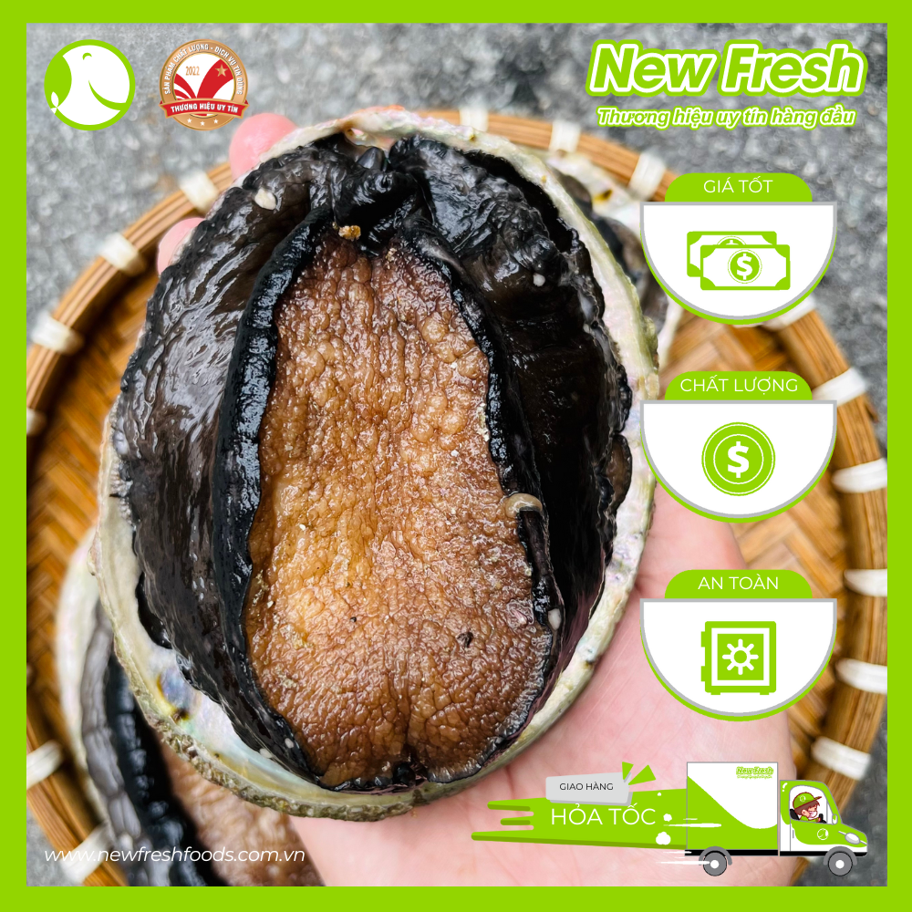 Bào Ngư Úc Viền Đen Đông Lạnh Size 3-4 Con Hộp 1Kg