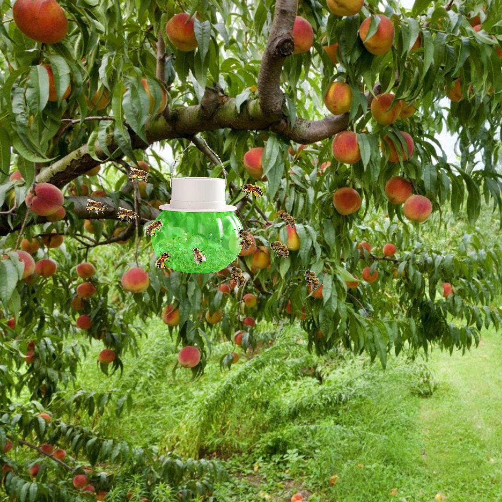 Bẫy ong thu sáp ngoài trời