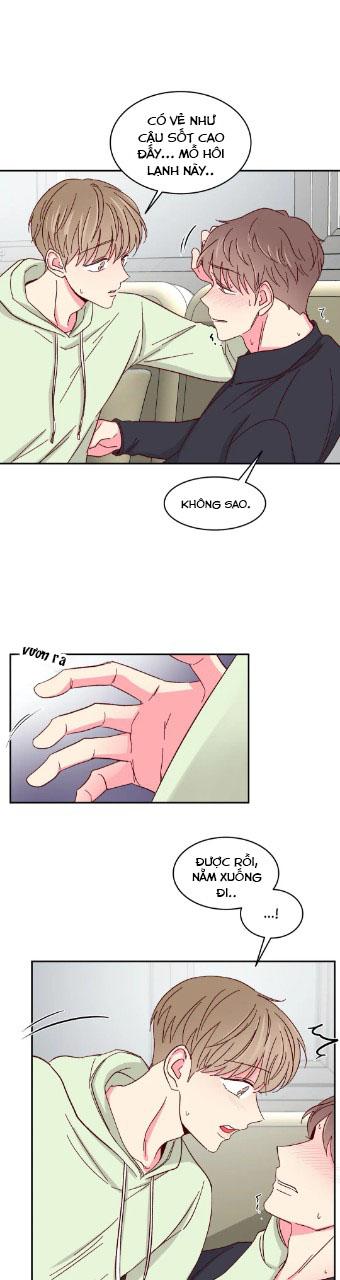 món tráng miệng của sếp tổng chapter 55 7