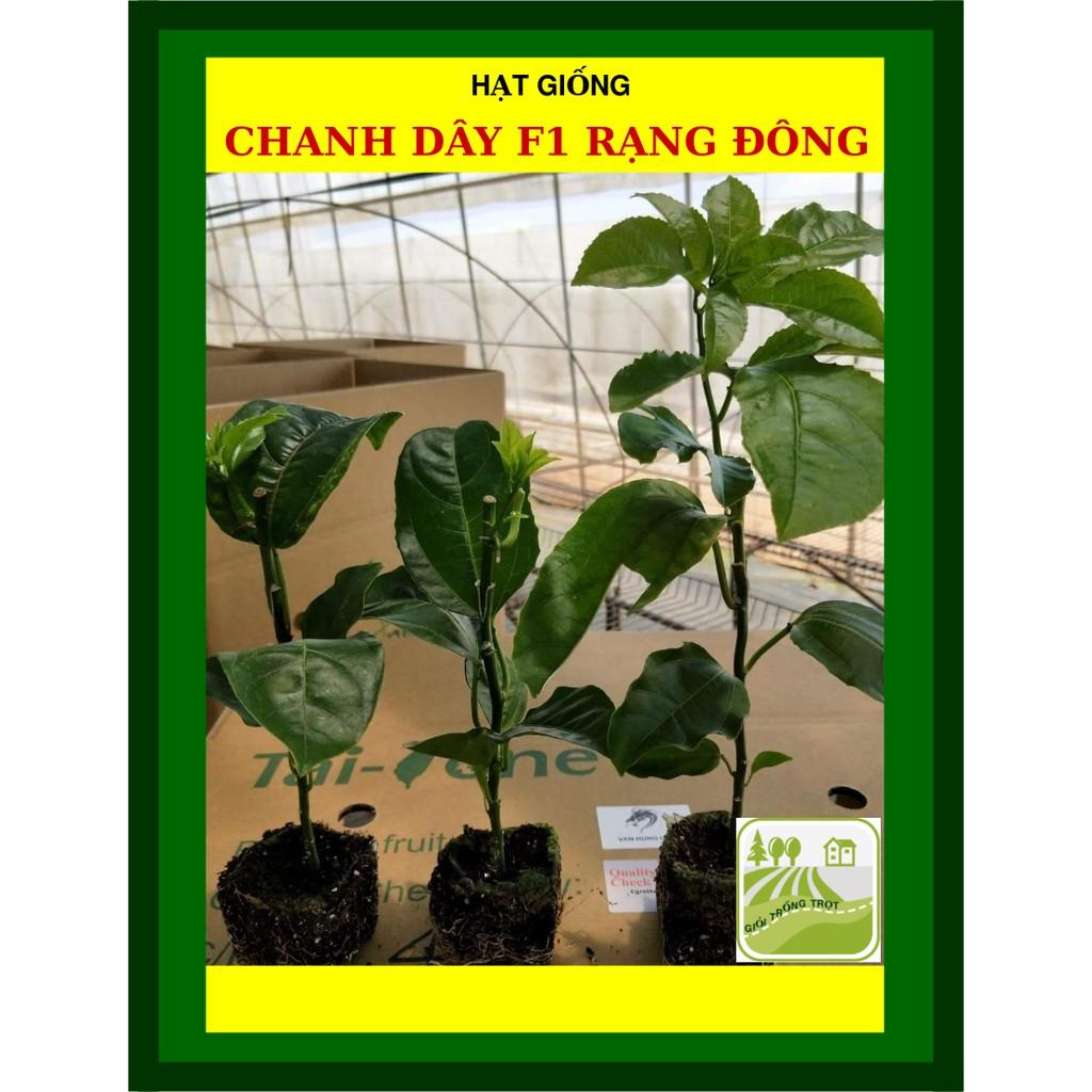 Hạt Giống Chanh Dây F1 Sai Trái 20 Hạt