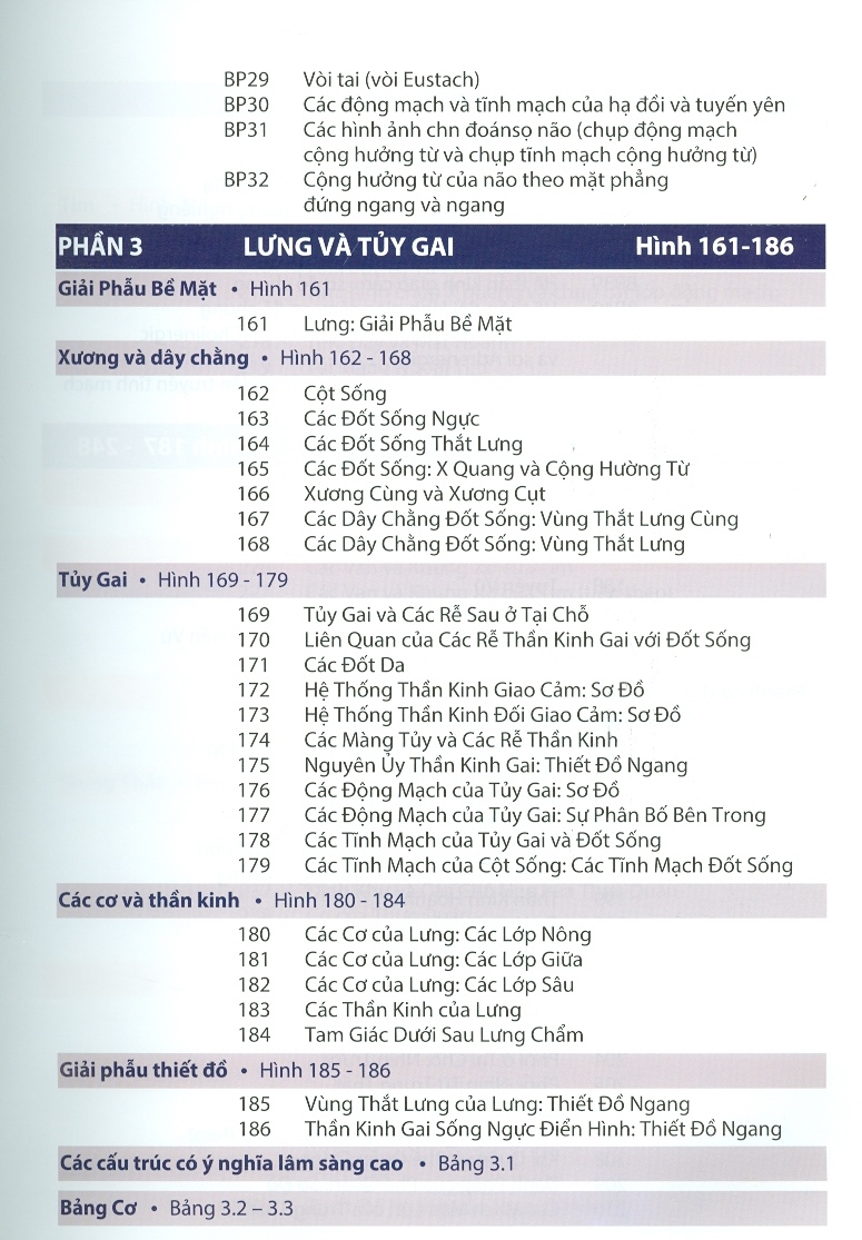 Atlas Giải Phẫu Người (Ấn Bản Lần Thứ 7 Năm 2021)