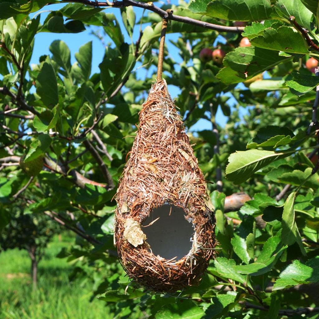 10x Giọt Nước Cỏ Chim Yến Nhà Ăn Sân Chim Hut Mộc Mạc Nhà Cây