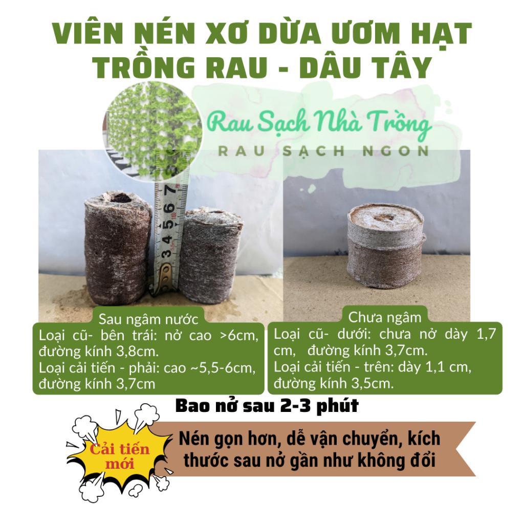 Bộ 50 và 100 viên nén ươm hạt xơ dừa hữu cơ trồng rau, dâu tây, thủy canh (loại lớn cao 60mm)