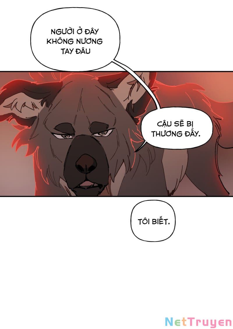 lumine - cội nguồn ánh sáng chapter 107 6