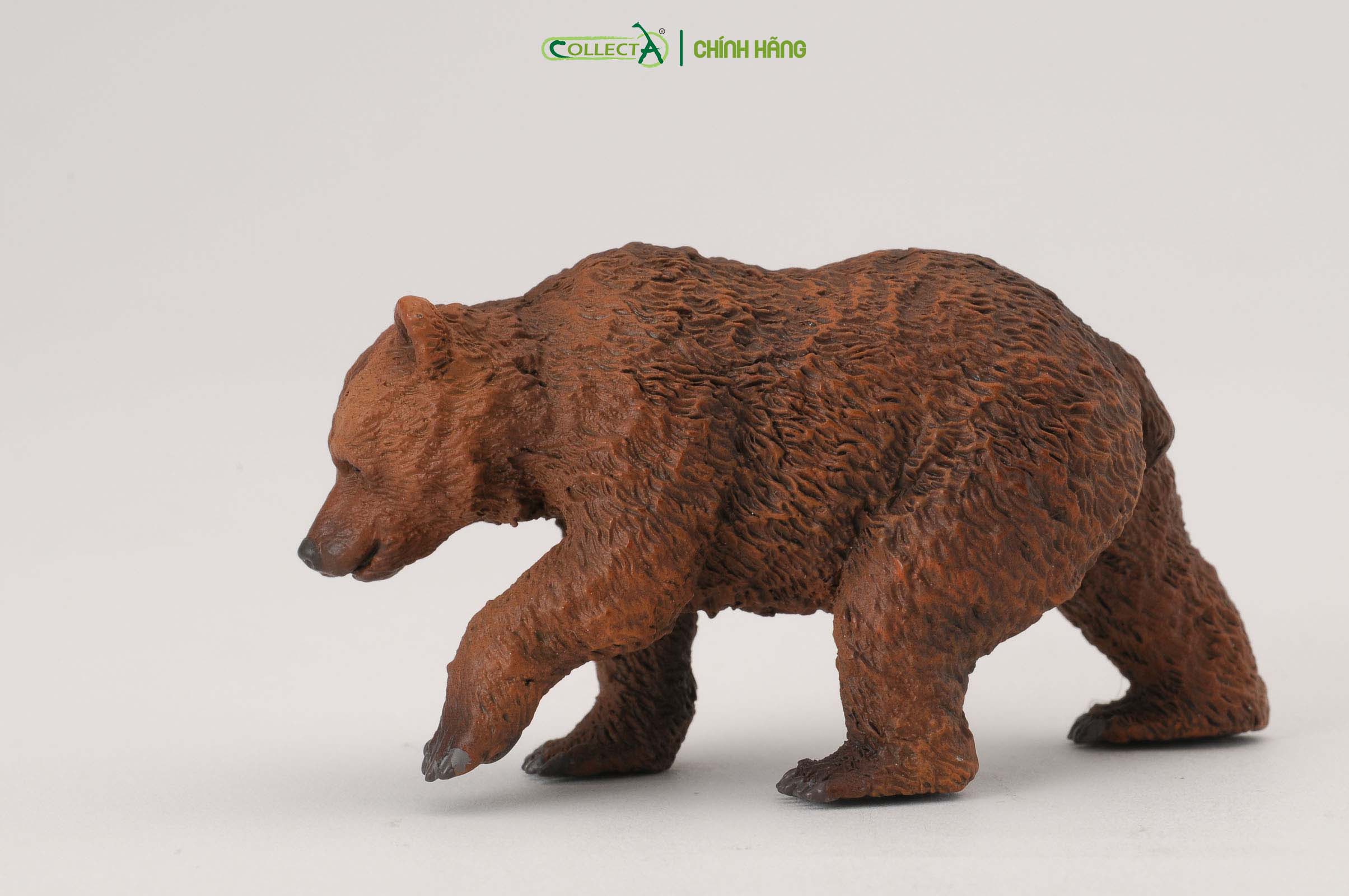 Mô hình thu nhỏ: Gấu Nâu con - Brown Bear Cub, hiệu: CollectA, mã HS 9651231[88561] -  Chất liệu an toàn cho trẻ - Hàng chính hãng