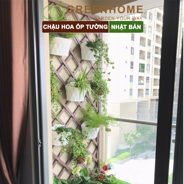 Chậu nhựa trồng cây Nhật Bản, Daiwa, ốp trường, treo hoa ban công, sân vườn, độ bền 5 năm, nhiều kích thước |Greenhome