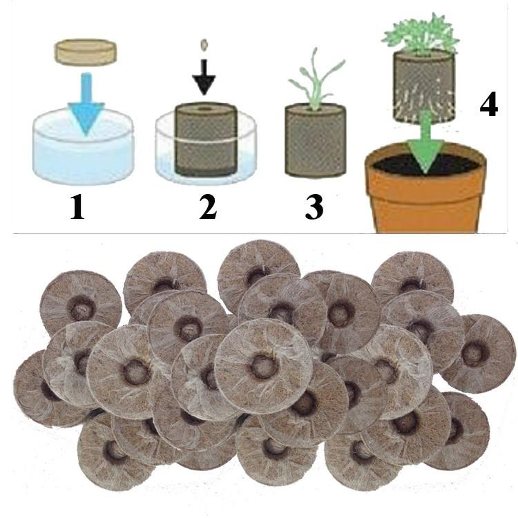 Combo 50 viên nén ươm hạt kích thích nẩy mầm