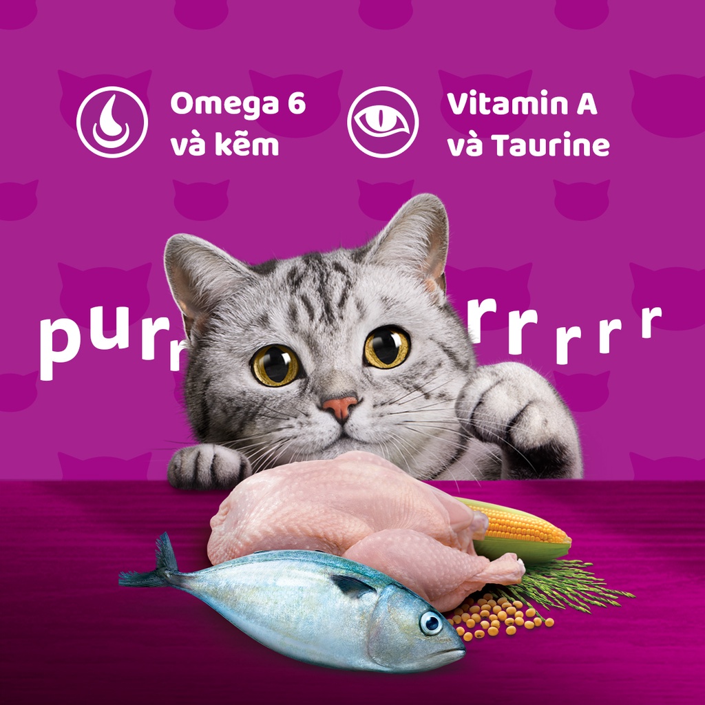 Bộ 2 túi thức ăn WHISKAS cho mèo con dạng hạt 1.1kg (2 túi)