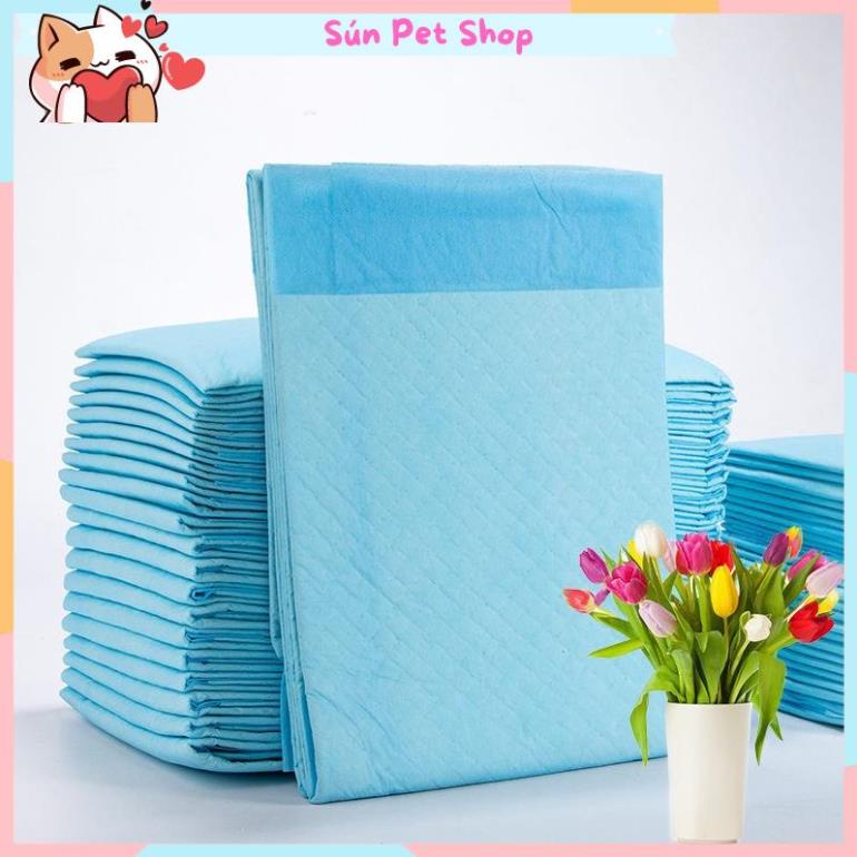 Tã lót chuồng cho chó mèo đi vệ sinh