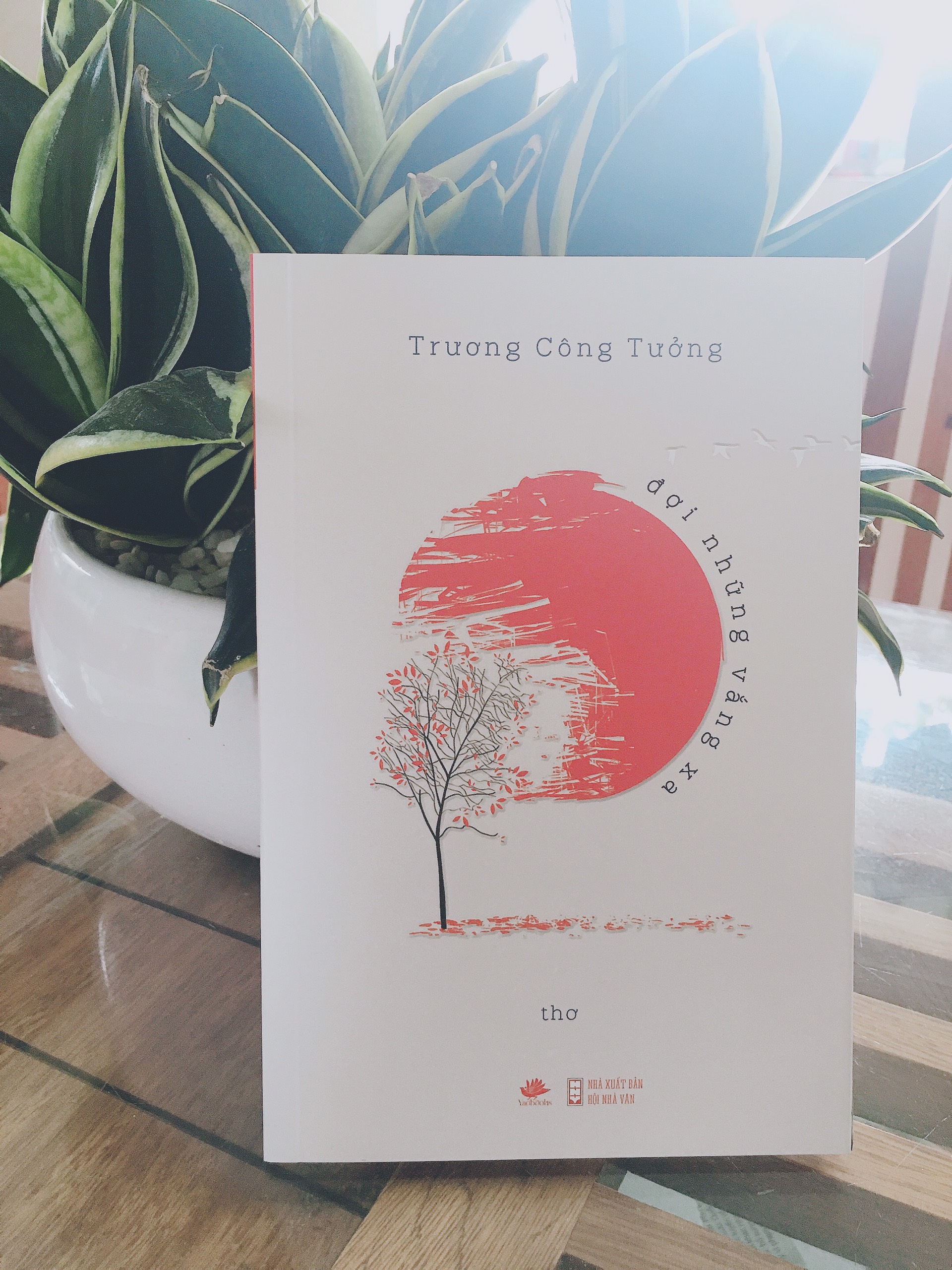 Đợi những vắng xa