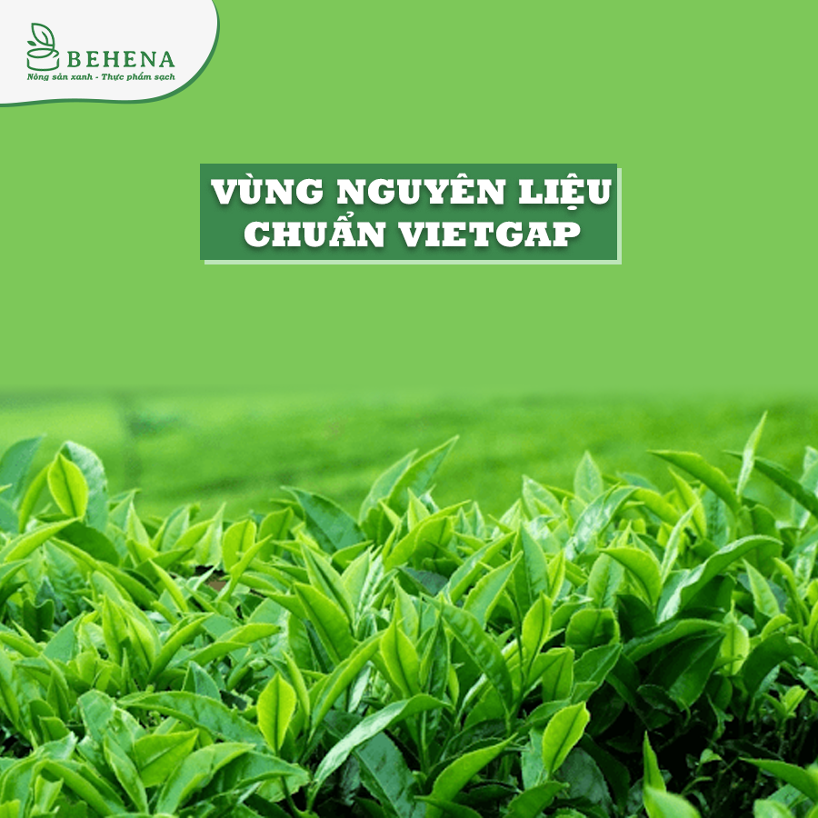 Bột trà xanh đắp mặt matcha nguyên chất làm bánh Nhật Bản tắm trắng Behena Minh Anpha