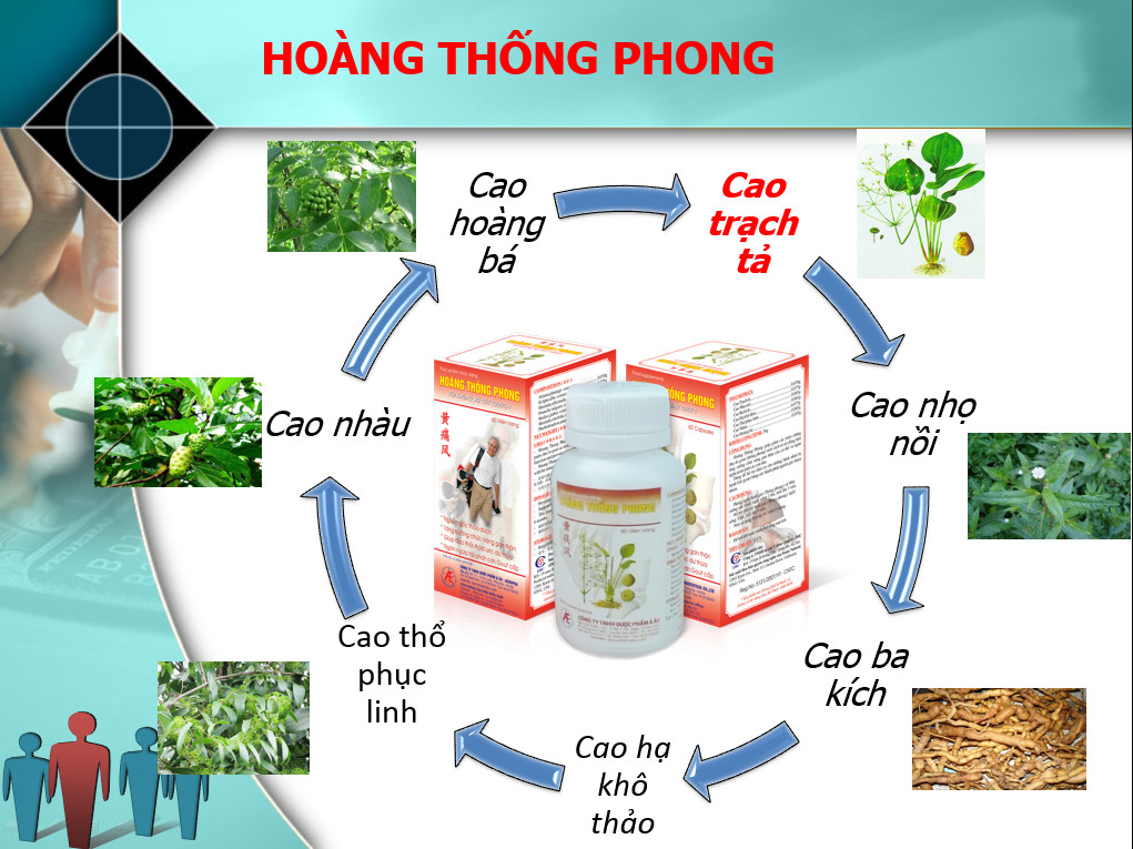 Thực phẩm bảo vệ sức khỏe Hoàng Thống Phong-Hộp 60 viên