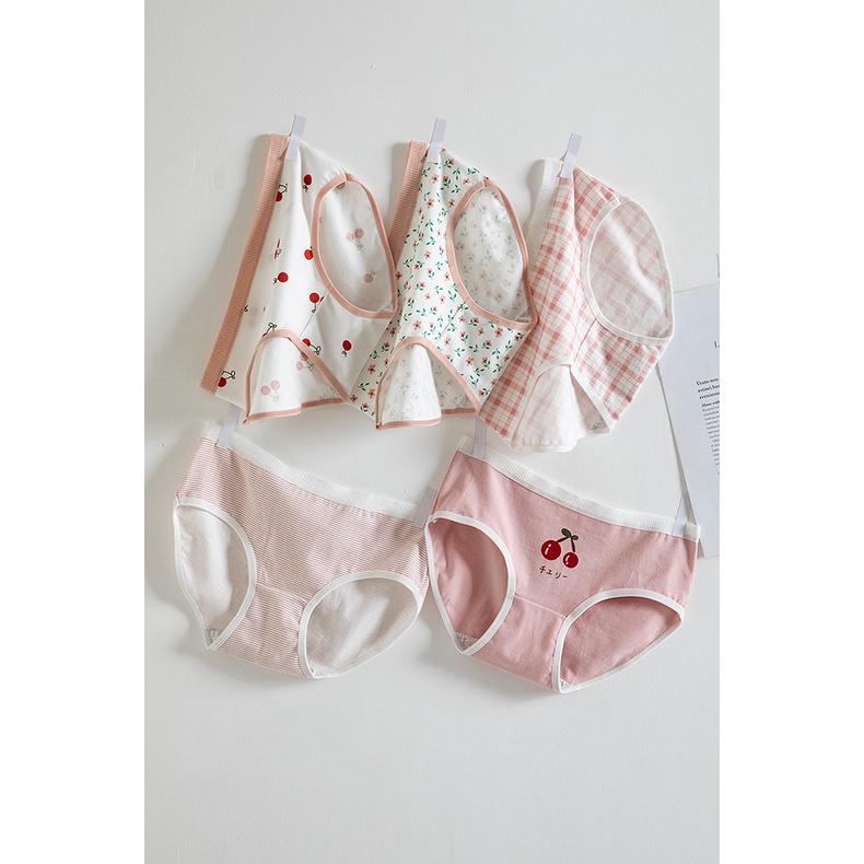 Quần Lót Nữ Cotton Anh Đào -Sọc Kẻ Ngang Eo Hàng Loại Đẹp.