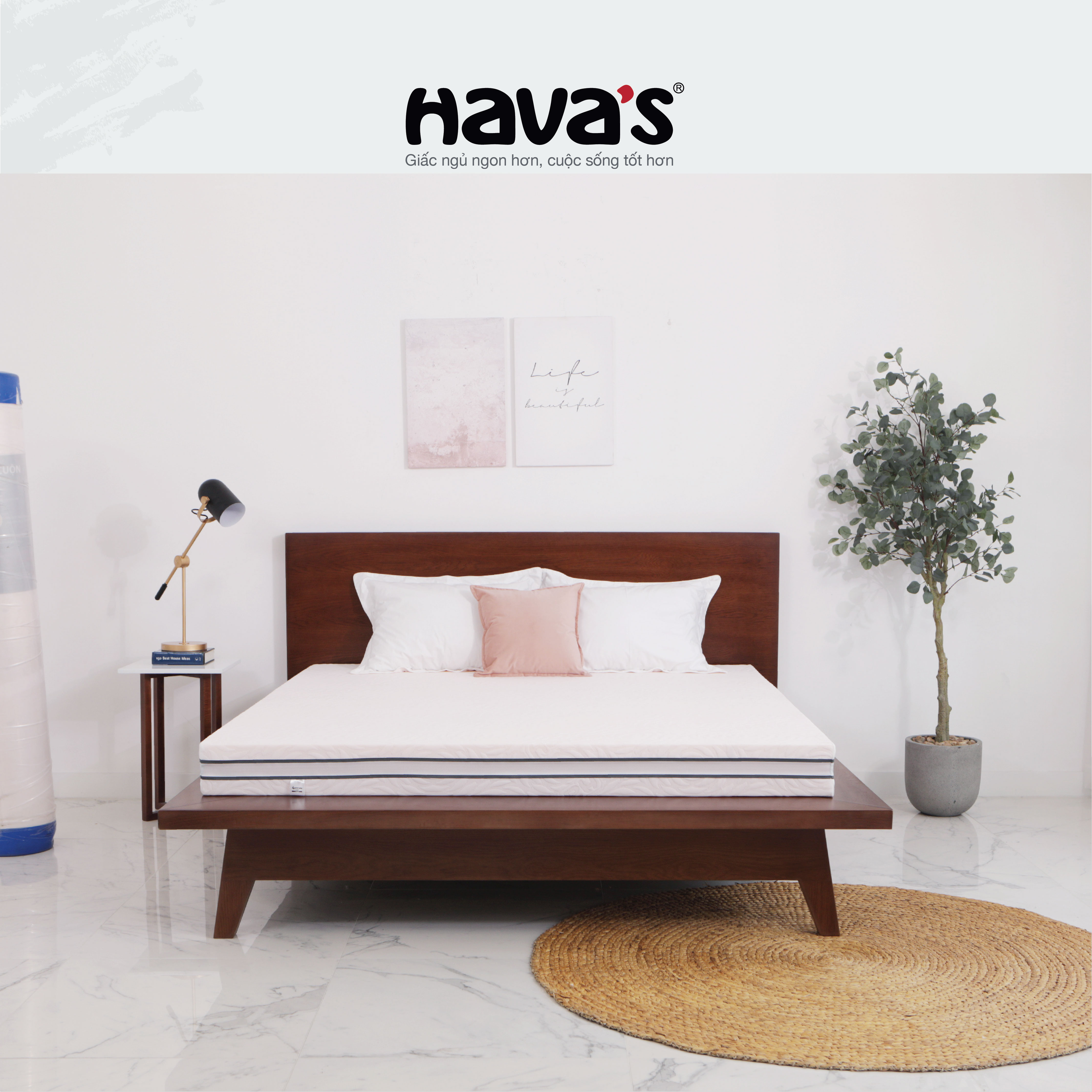 Nệm Havas Australia 1m6 và 1m8 Mousse ép dẻo, đóng gói nhỏ gọn, thiết kế 2 mặt nằm độc đáo