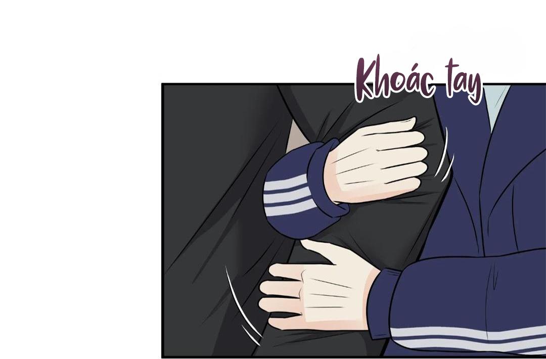 hạnh phúc trọn vẹn chapter 20 19