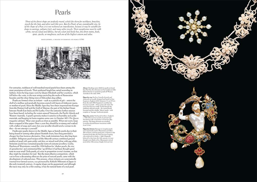 Jewels &amp; Jewellery (Victoria And Albert Museum)