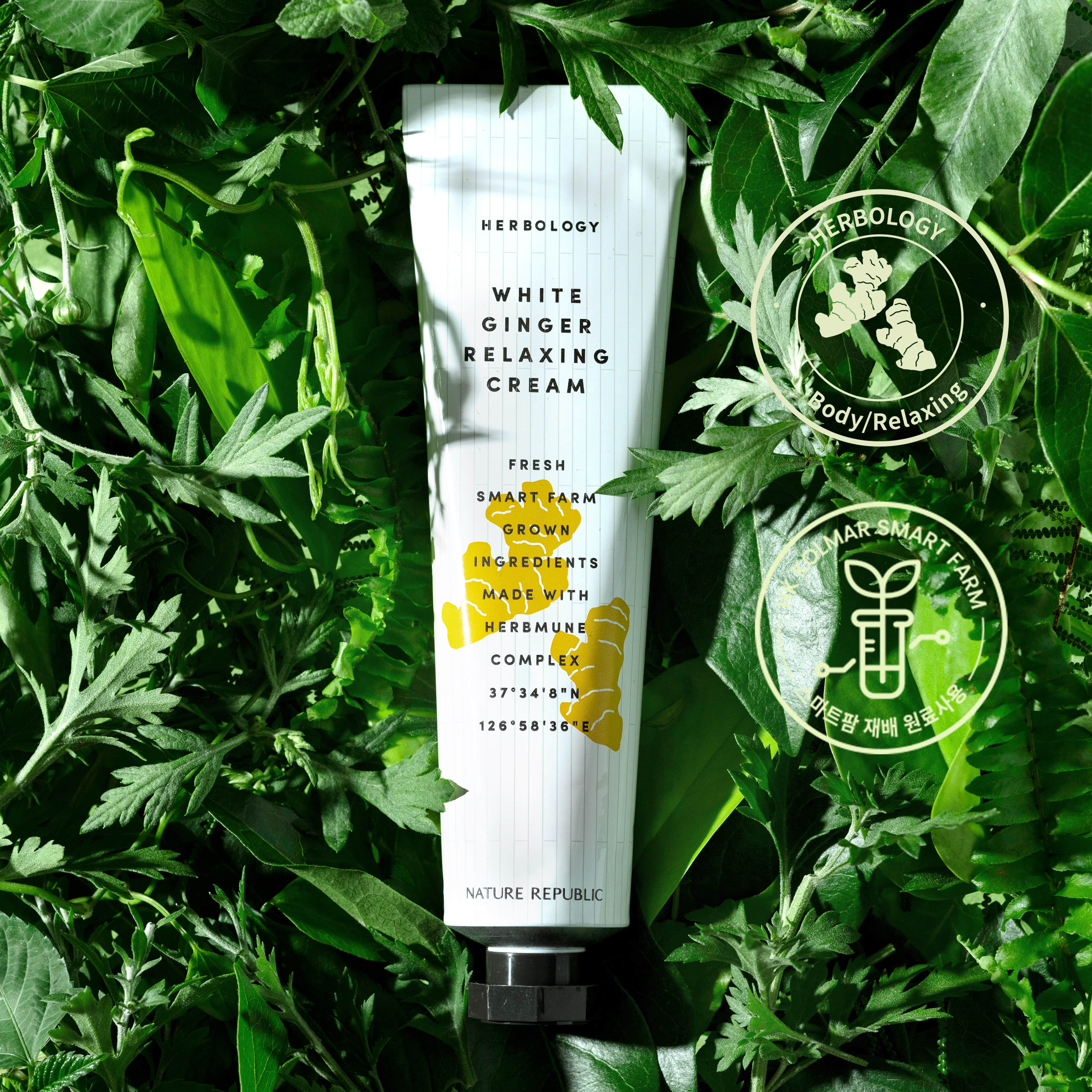 Kem dưỡng BODY Nature Republic Herbology White Ginger Relaxing Cream 70ml