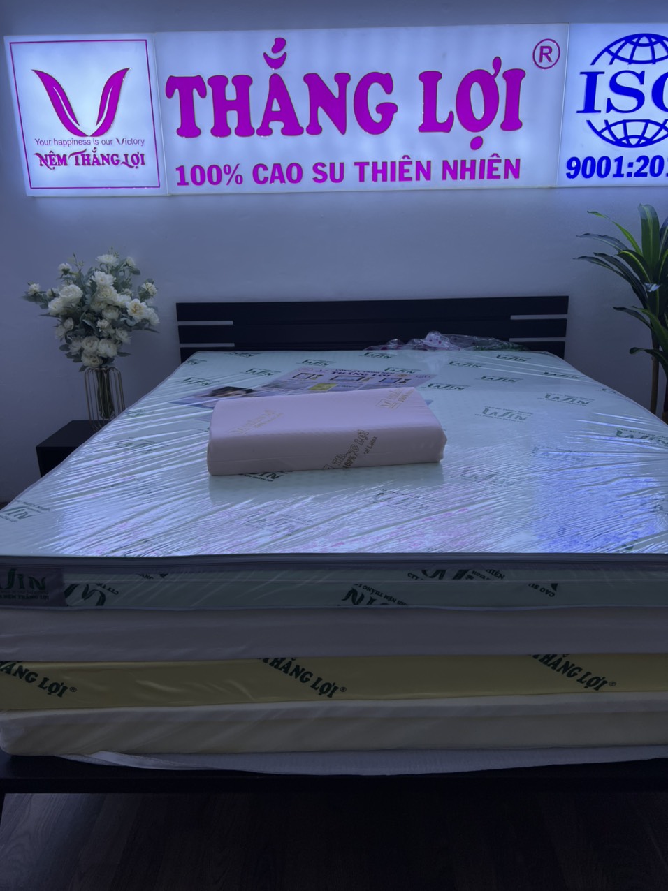 Gối  cao su thiên nhiên 100% massage