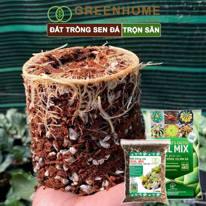 Đất trồng Sen đá Soil Mix, bao 1kg, đầy đủ dinh dưỡng, thoát nước tốt, Sen đá bền màu |Greenhome