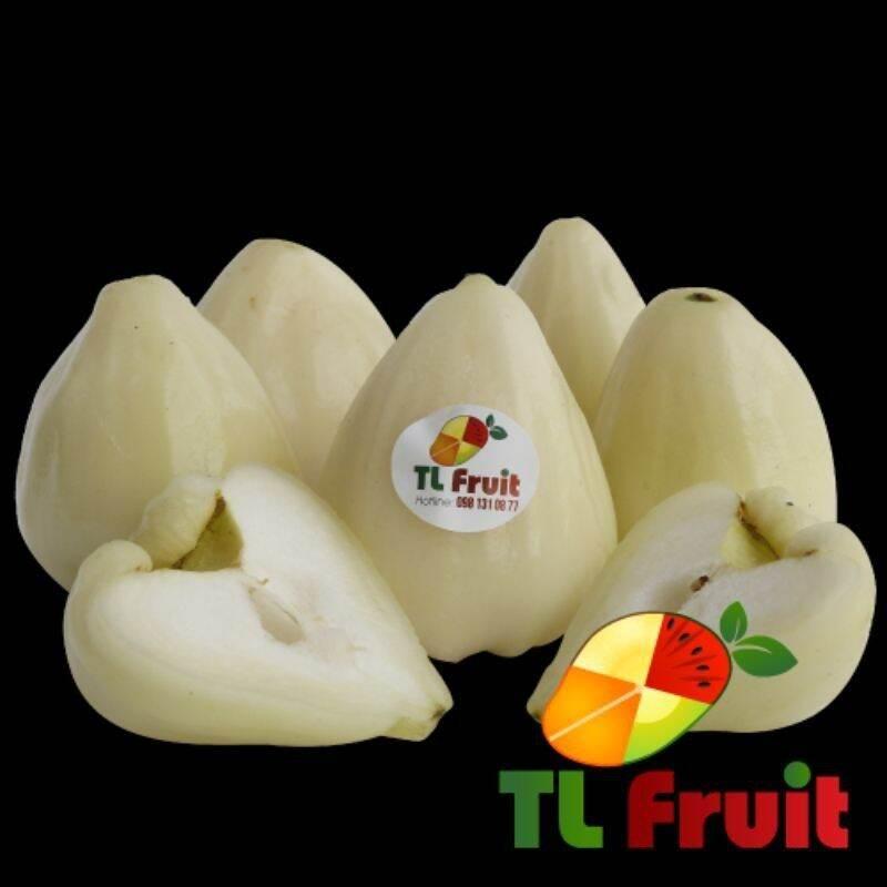 Cây giống Mận Trắng Sữa ra trái sớm