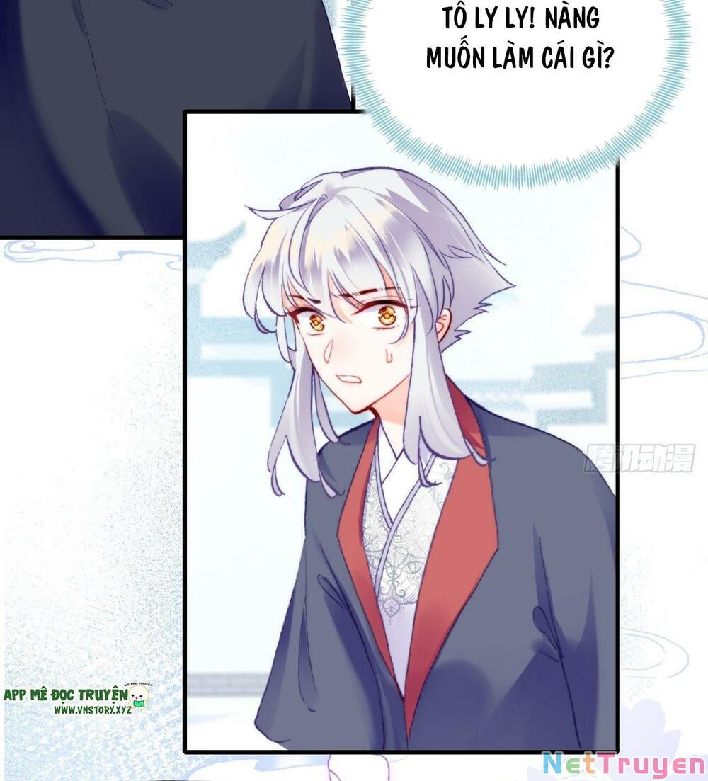 lại bị bệnh chiều chuộng quấn lấy chapter 81 71