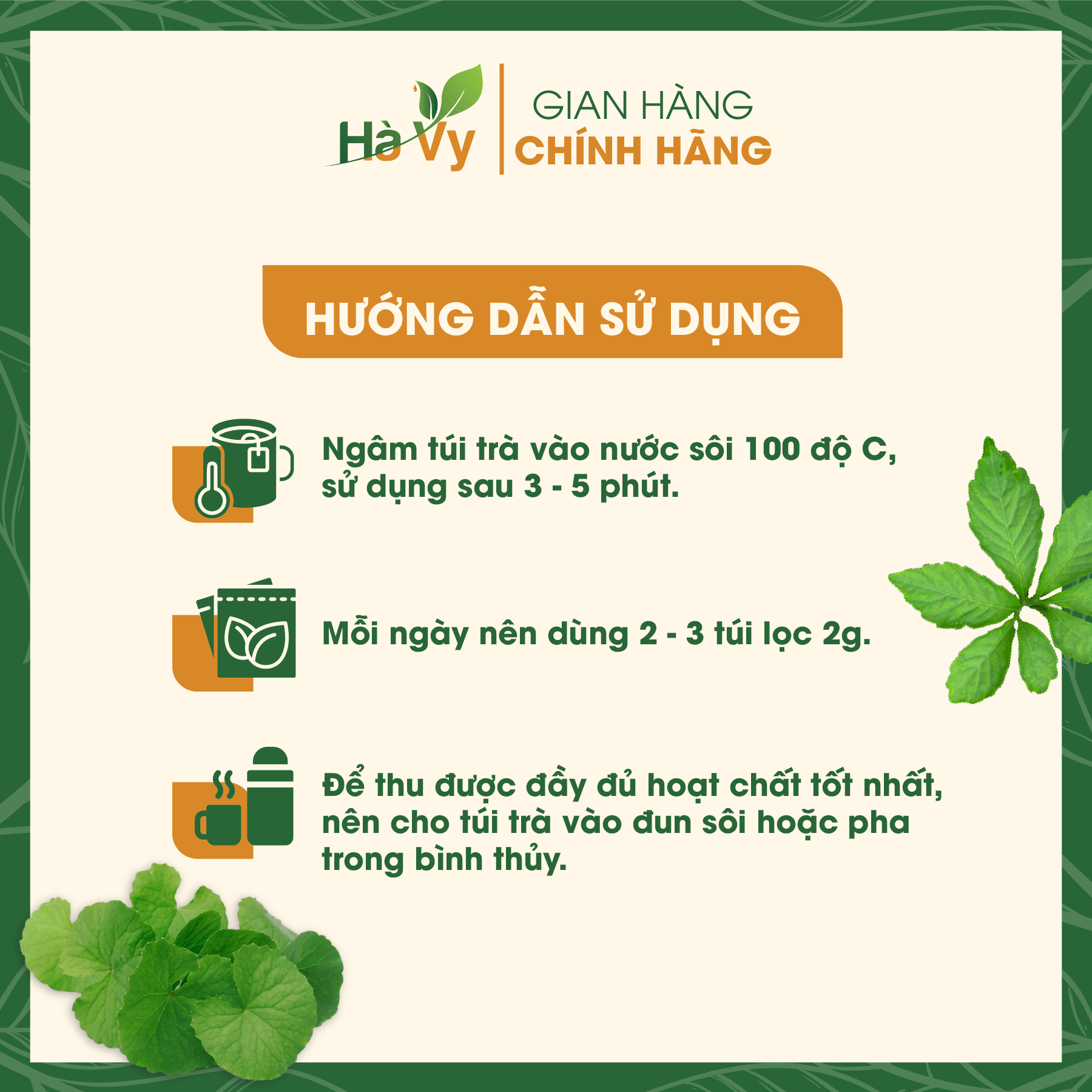 Combo Trà Rau Má Rừng &amp; Trà Dây Nam Trà My Hà Vy hỗ trợ làm đẹp da, mát gan, hỗ trợ cải thiện sức khoẻ dạ dày, tá tràng hiệu quả (set 2 hộp trà túi lọc)