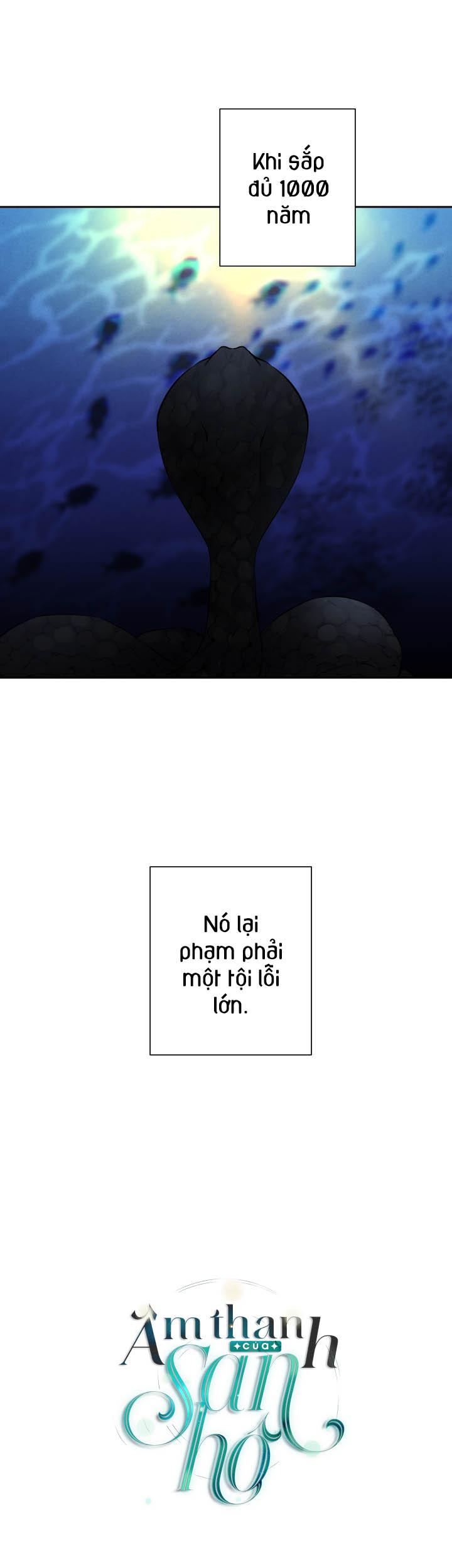 âm thanh của san hô chapter 20 3